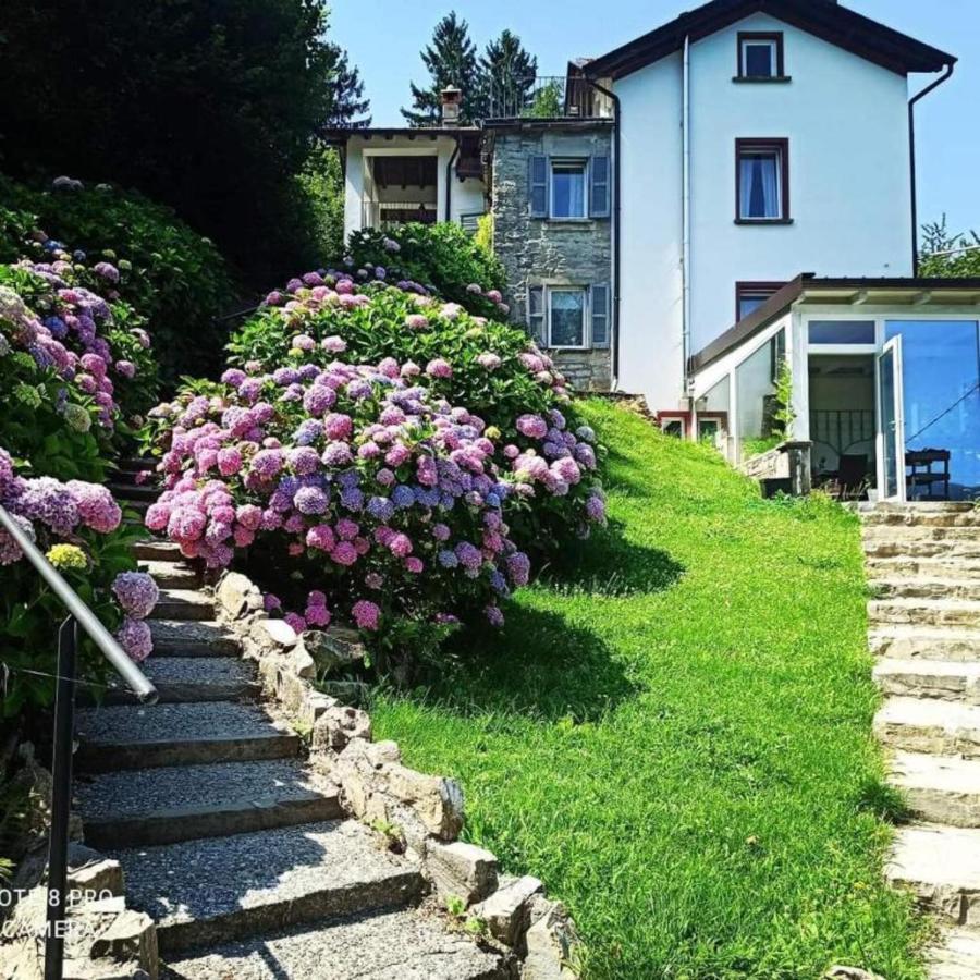 Essentia Guest House Faggeto Lario Eksteriør billede